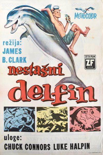 NESTAŠNI DELFIN