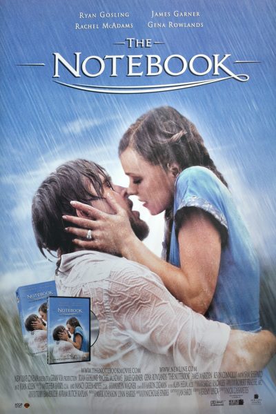 THE NOTEBOOK