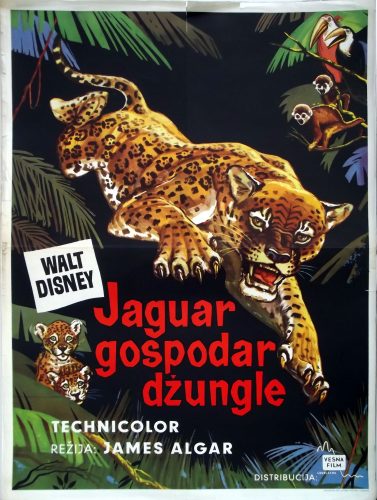 JAGUAR GOSPODAR DŽUNGLE