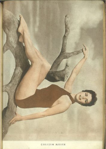 Kinematografija 1955.
