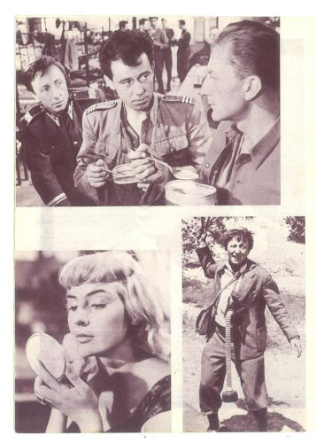 Zrikava Sreća