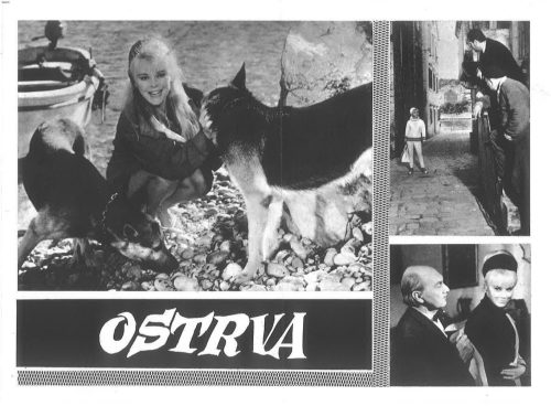 Ostrva