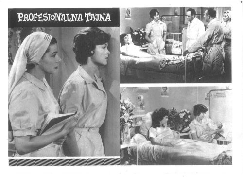Profesionalna Tajna