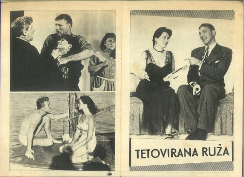 Tetovirana Ruža