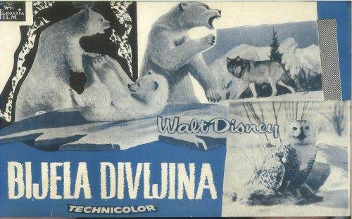 Bijela Divljina